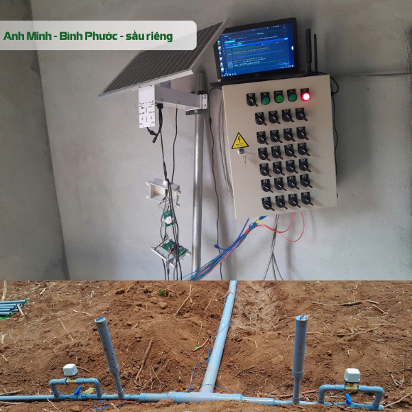 Hệ thống tưới thông minh cho vườn sầu riêng