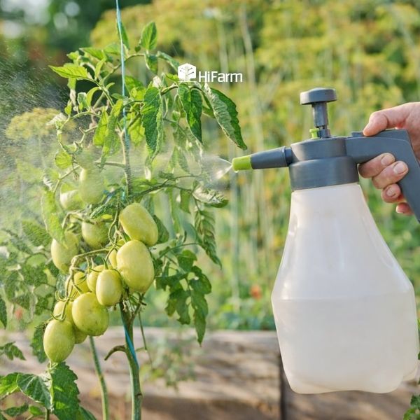 Biện pháp phòng trừ sâu bệnh hiệu quả