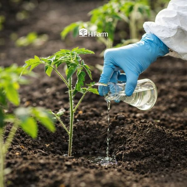 Bổ sung vi sinh vật có lợi