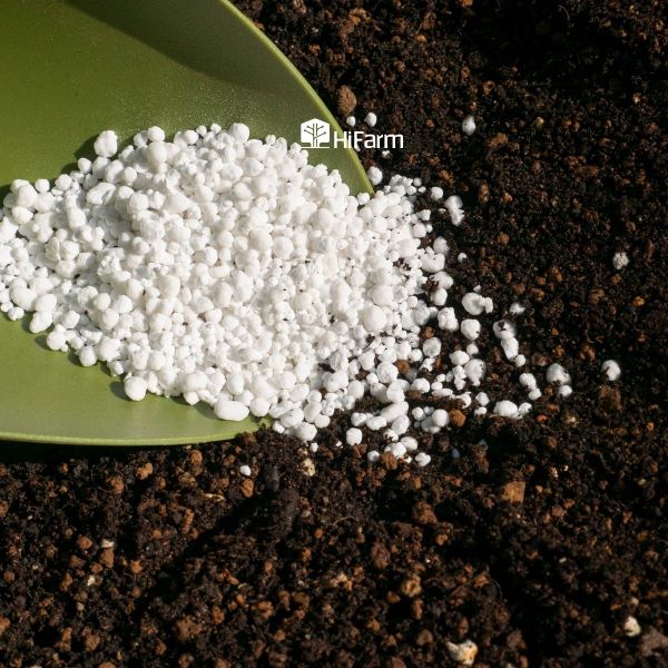 Các cách bón thúc cho cây trồng