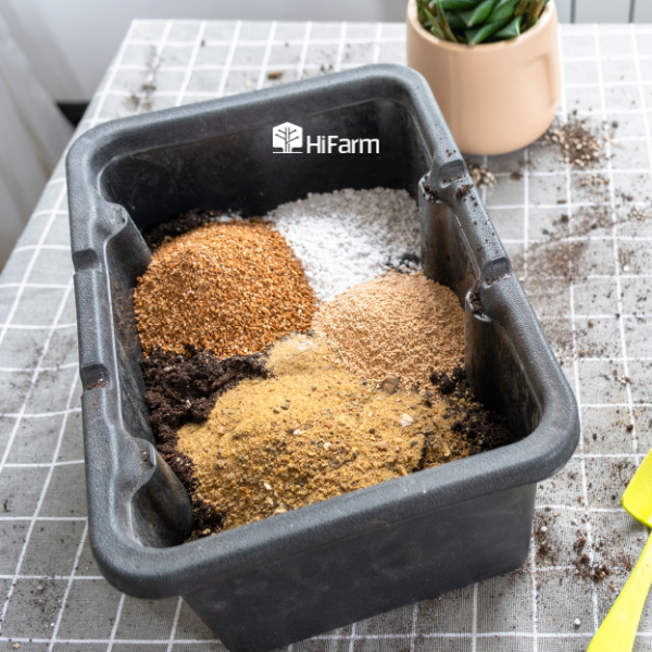 Các loại giá thể trồng cây phổ biến hiện nay