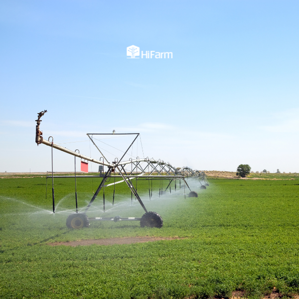 Các mô hình nông nghiệp xanh hiện nay