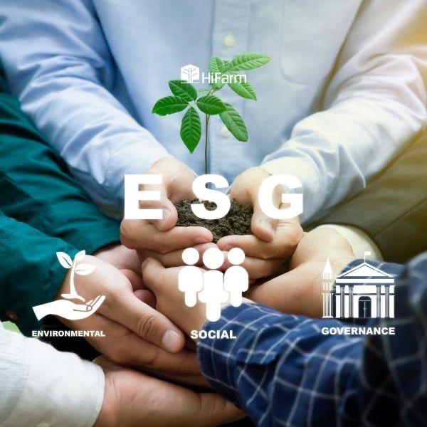 Các thành phần cấu tạo nên ESG