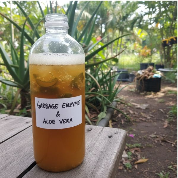 Cách làm GE nha đam