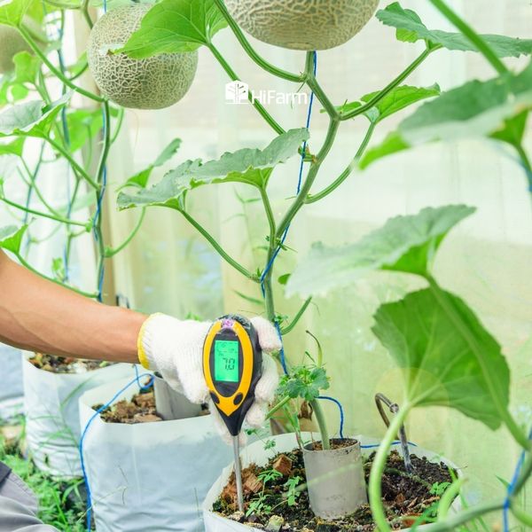 Cải tạo đất để khóa “Cd”