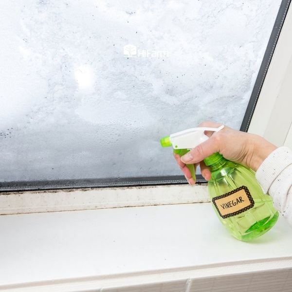 Công dụng của GE đối với con người