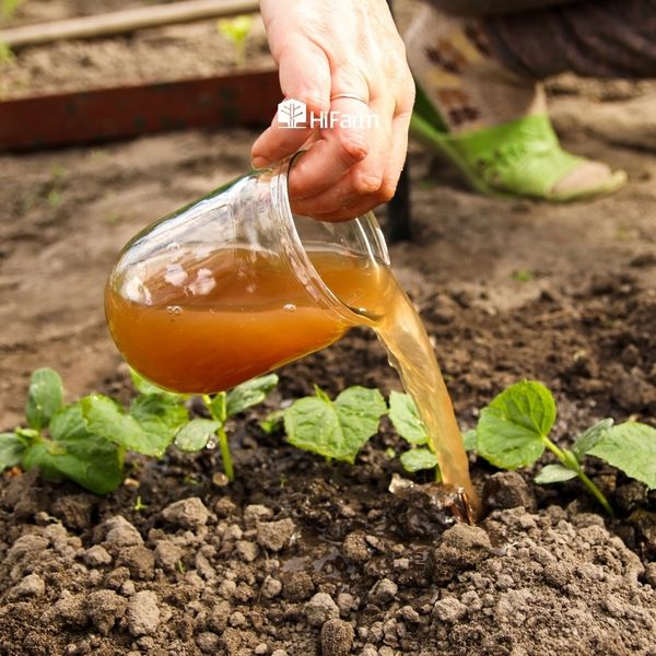 Công dụng của GE