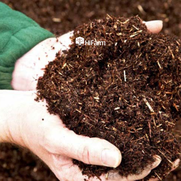 Đặc điểm giá thể hữu cơ đạt chuẩn
