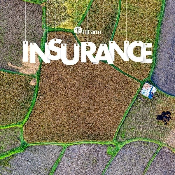 Dịch vụ bảo hiểm nông nghiệp