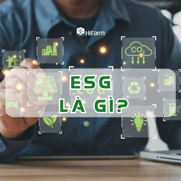 ESG là gì? Những điều cần hiểu về ESG