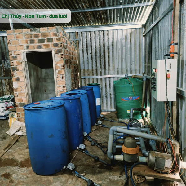 Melon Farm in Kon Tum Uses HiFarm's Automated Fertigation Solution