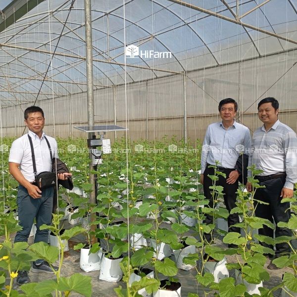 HiFarm mang đến giải pháp tưới tự động hiệu quả