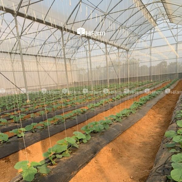 Thực tiễn ứng dụng nông nghiệp thông minh tại Việt Nam