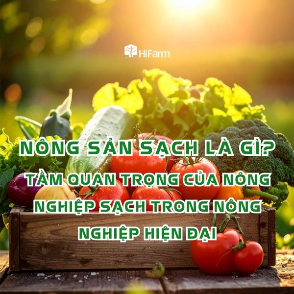 Nông sản sạch là gì? Tầm quan trọng của nông sản sạch trong nông nghiệp hiện đại