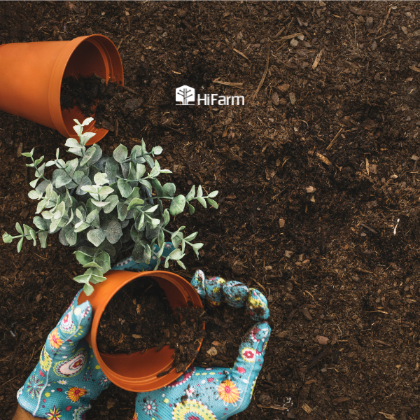 Giá thể hữu cơ là gì và nhưng lợi ích cho ngành nông nghiệp