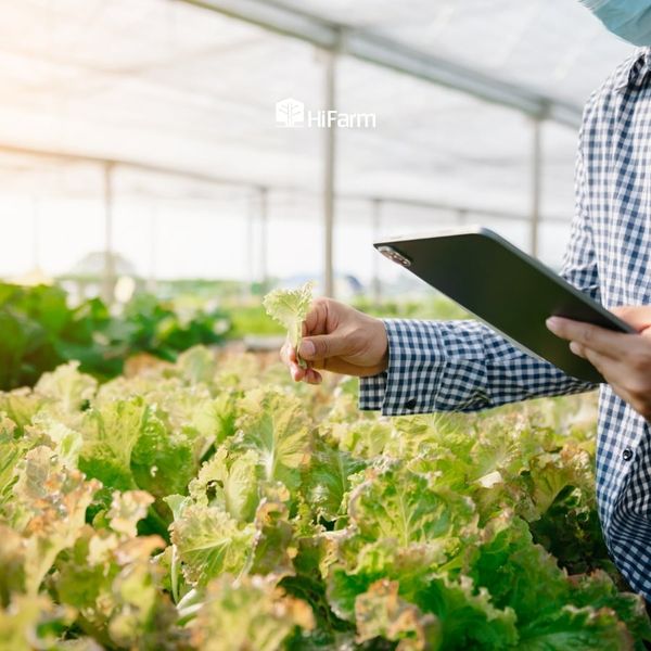 Giải pháp của nông nghiệp 4.0