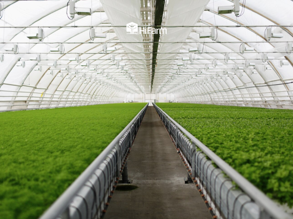 Top mô hình nông nghiệp công nghệ cao phải biết