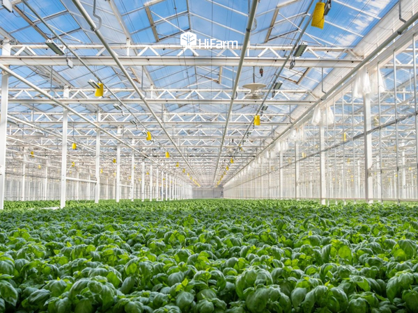 Thách thức khi triển khai mô hình nông nghiệp công nghệ cao