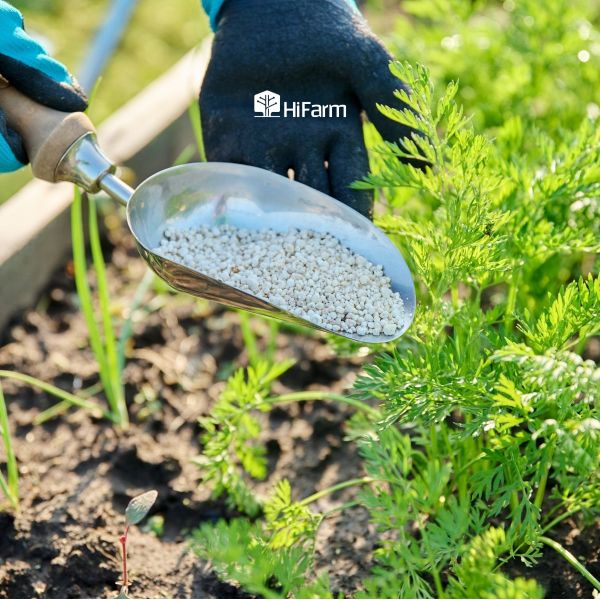 Thời điểm bón thúc phù hợp với cây trồng