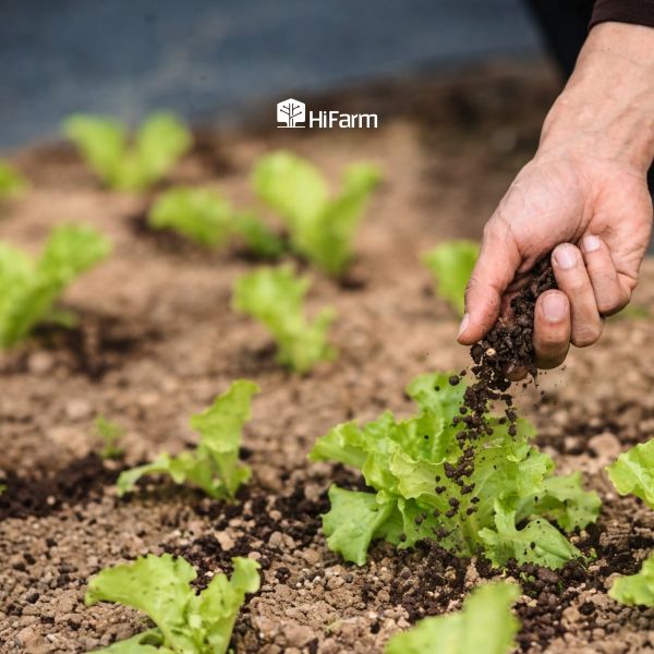 Những loại phân vi sinh được sử dụng phổ biến hiện nay