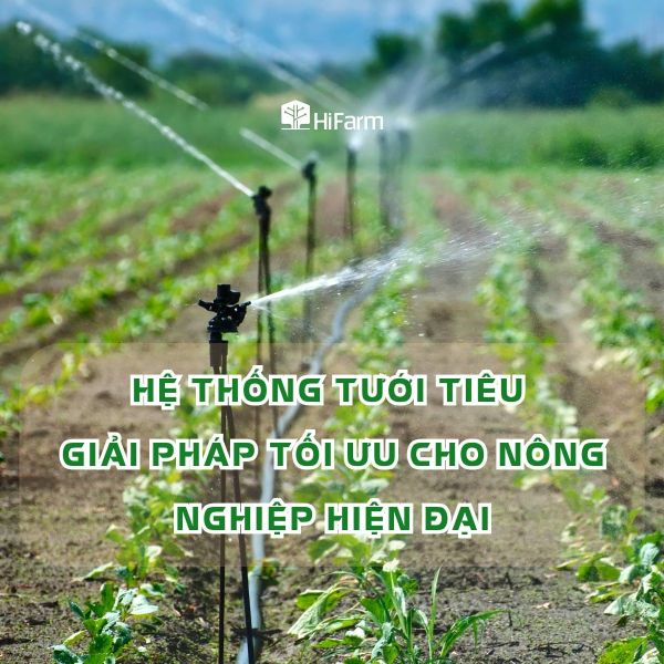 Giải pháp tưới tiêu tối ưu trong nông nghiệp hiện đại