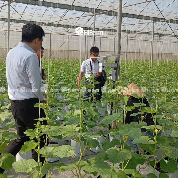 Cảm biến thông minh mang lại tính chính xác trong canh tác hiện đại