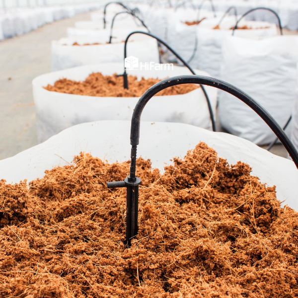 Loại giá thể trồng cây - mụn xơ dừa