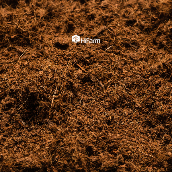 Loại giá thể hữu cơ - mụn xơ dừa