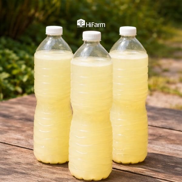 Lưu ý khi ủ GE ai cũng nên biết