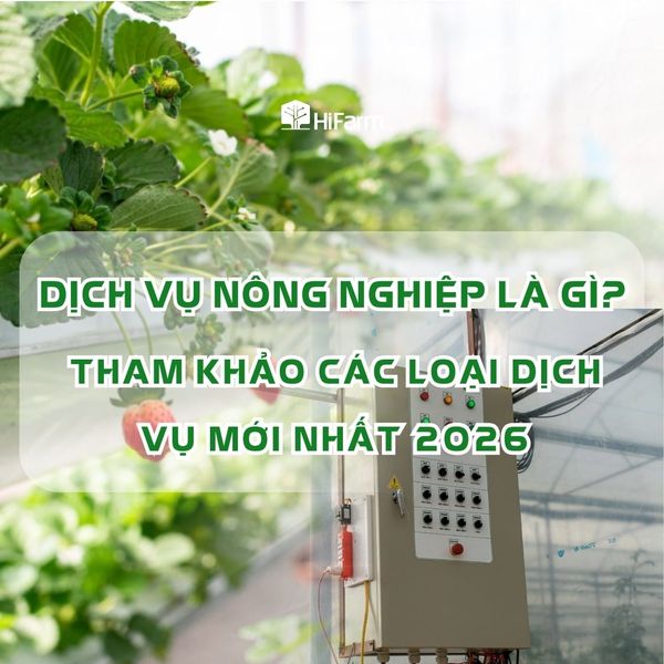 Dịch vụ nông nghiệp là gì? Tham khao các loại dịch vụ mới nhất 2026