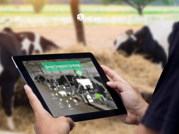 Mô hình chăn nuôi thông minh