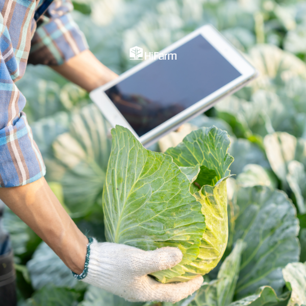 Vai trò đối với hộ nông dân/hợp tác xã