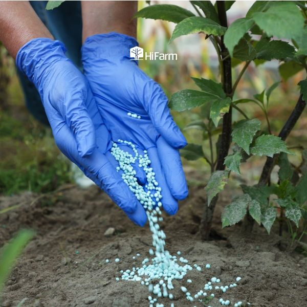 Phân bón NPK 20-20-15 đem đến nhiều lợi ích nổi bật cho cây trồng