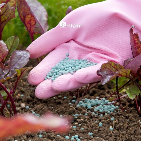 Phân bón NPK dạng viên được sử dụng phổ biến