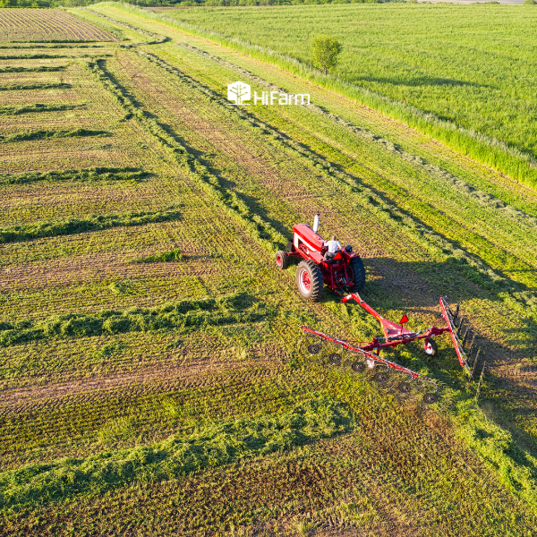 Mô hình nông nghiệp xanh - mô hình cánh đồng mẫu lớn