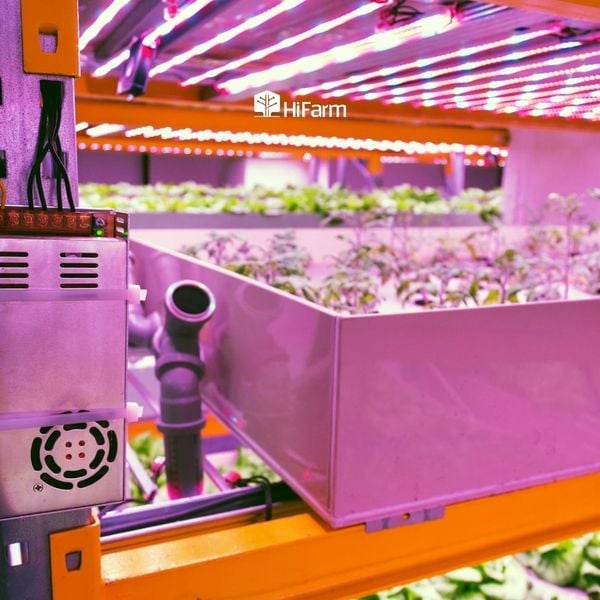 Nguyên lý hoạt động của Aquaponics