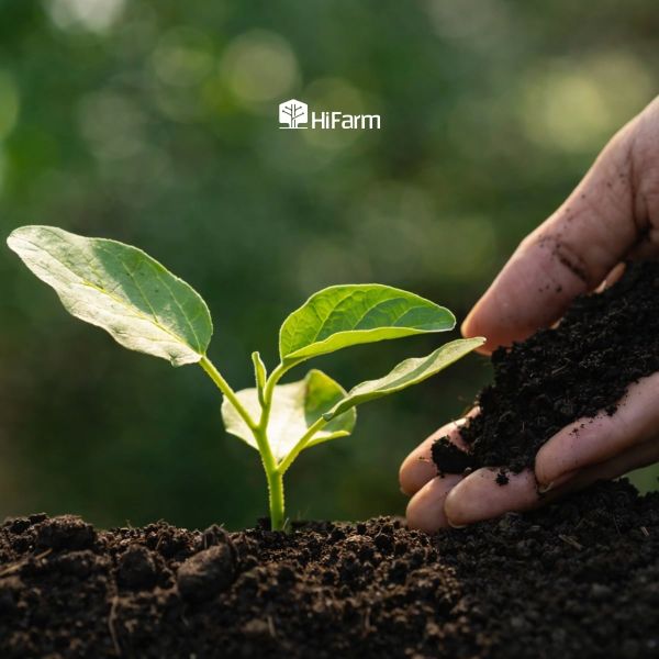 Những lưu ý khi sử dụng và bảo quản