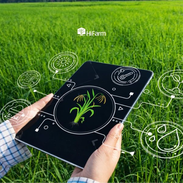 Nông nghiệp thông minh là gi?