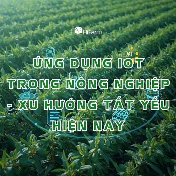 Ứng dụng IoT trong nông nghiệp - Xu hướng tất yếu hiện nay