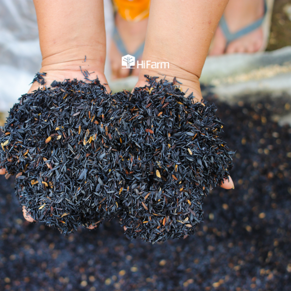 Loại giá thể trồng cây - tro, trấu hun