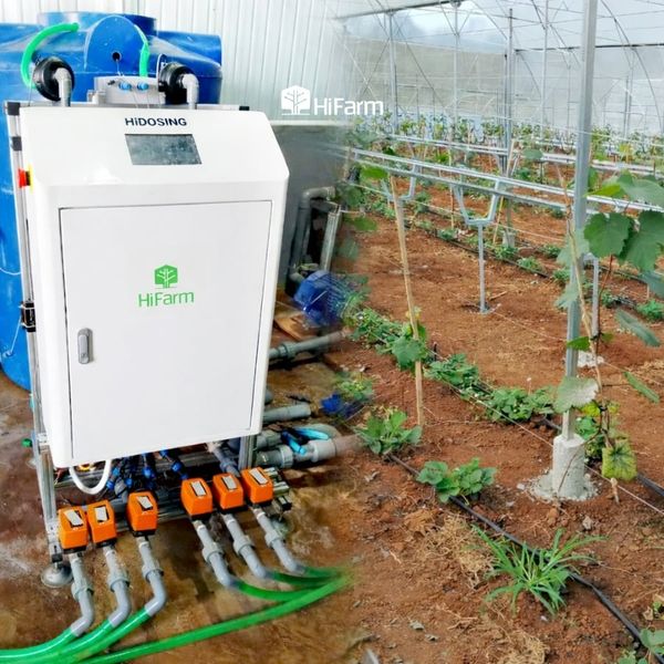 Hệ thống tưới tiêu và hệ thống châm phân tự động