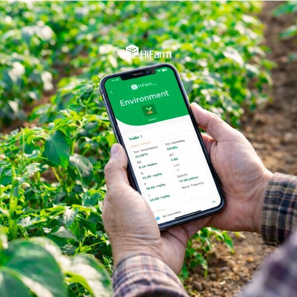 Tự động hóa - tối ưu quy trình, giảm chi phí sản xuất