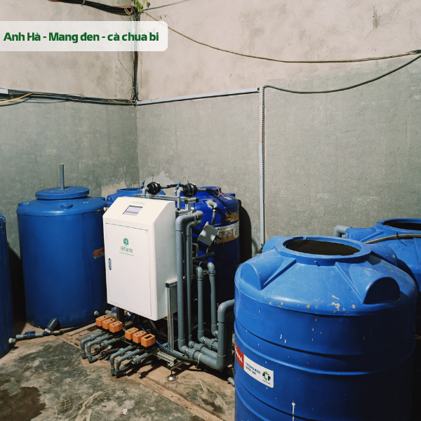 Automated Fertigation System for Tomato Farm in Măng Đen