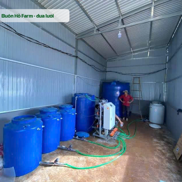 Automated Fertigation System Installation for Melon Farm