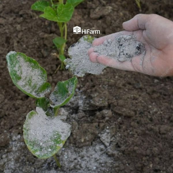 Một số biện pháp giảm cadimi trong đất