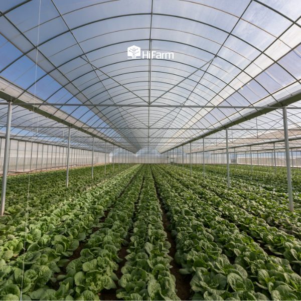 Các phương pháp phát triển mô hình nông nghiệp xanh