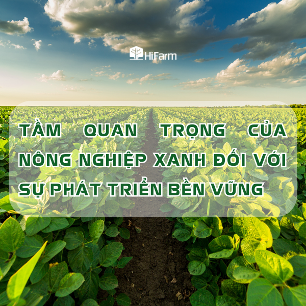 Tầm quan trọng của nông nghiệp xanh đối với sự phát triển bền vững