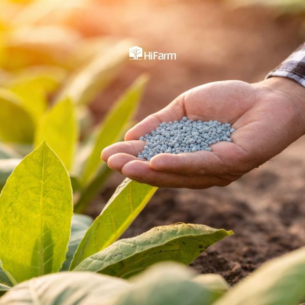 Phân bón NPK 20-20-15 là gì?