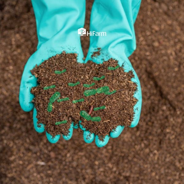 Phân vi sinh là gì