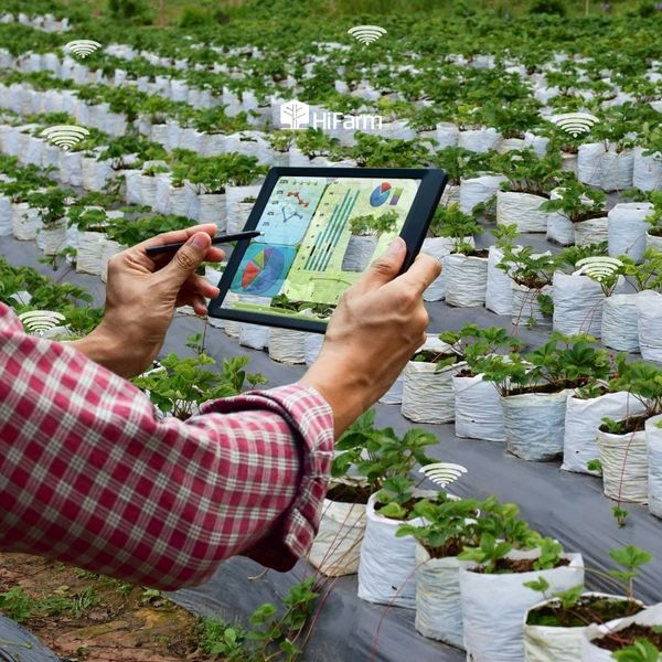 Thực trạng và giải pháp của nông nghiệp 4.0